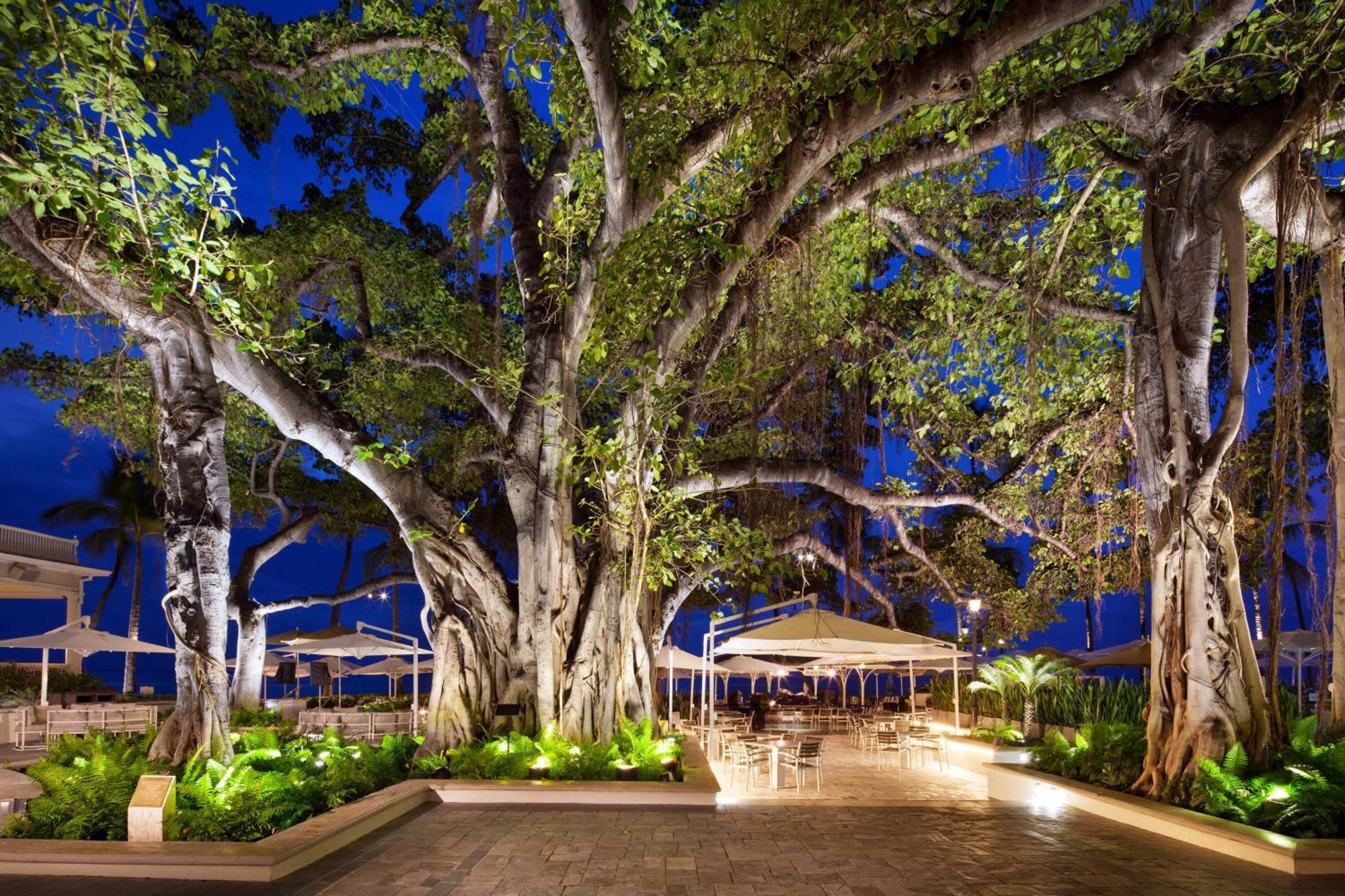 Moana Surfrider, A Westin Resort & Spa, Waikiki Beach Honolulu Exterior foto